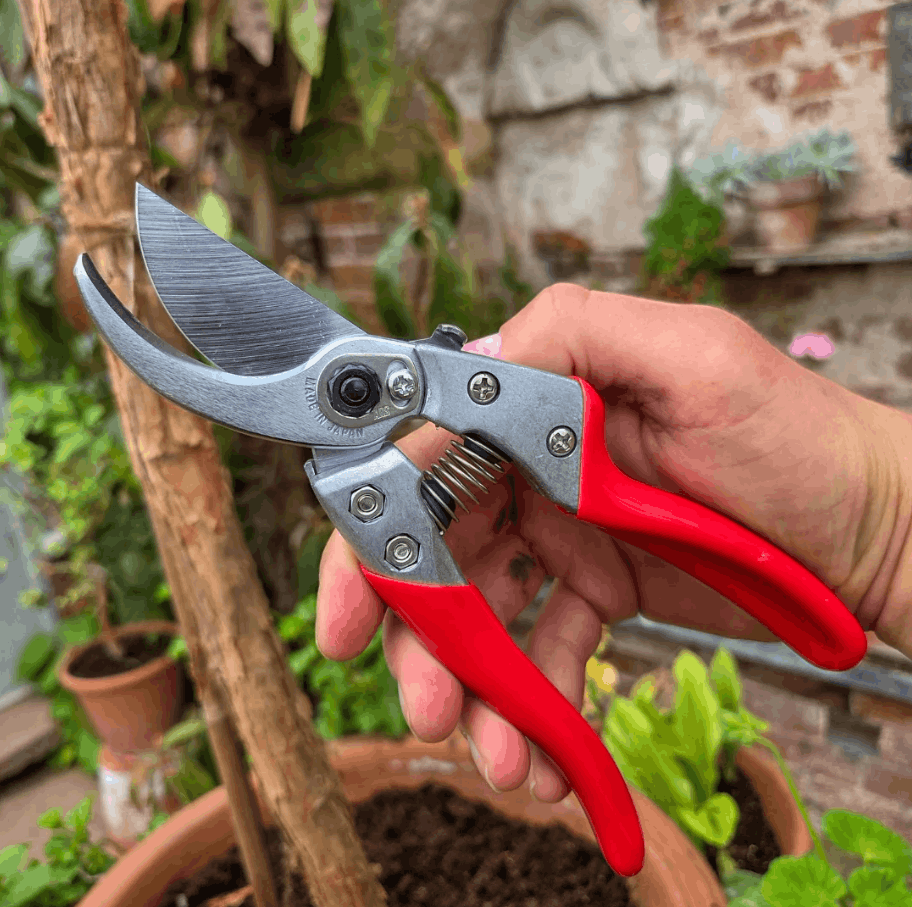 ARS VS-9XZ PRO SERIES PRUNING SHEARS 230MM - Image 4